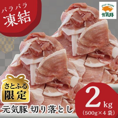 【さとふる限定】元気豚 切り落とし 2kg(500g×4袋) 豚肉 バラ凍結