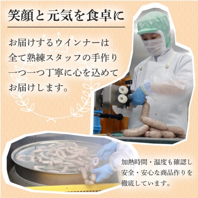 【千葉県多古町産】元気豚 ウインナーソーセージセット(36本入り)