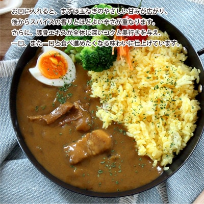 元気豚 レトルトポークカレー 20食セット(200g×20袋・計4kg)【常温保存】