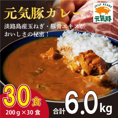 元気豚 レトルトポークカレー 30食セット(200g×30袋・計6kg)【常温保存】
