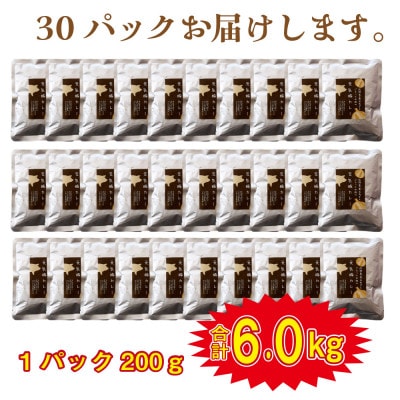 元気豚 レトルトポークカレー 30食セット(200g×30袋・計6kg)【常温保存】