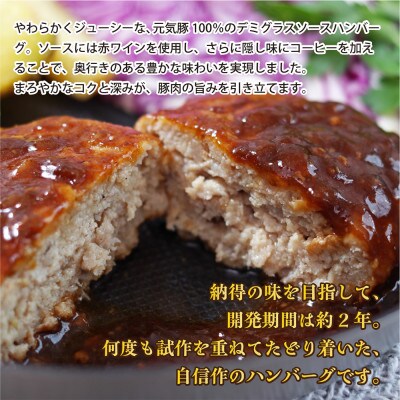 千葉県産三元豚 元気豚100% ハンバーグ 140g×6個