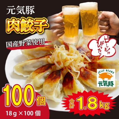 元気豚 肉餃子 100個セット(18g×10個入×10パック)
