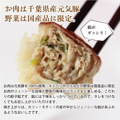 元気豚 肉餃子 100個セット(18g×10個入×10パック)