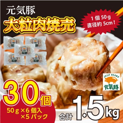 千葉県産三元豚 大粒肉焼売 30個(1.5kg)元気豚100%使用 冷凍