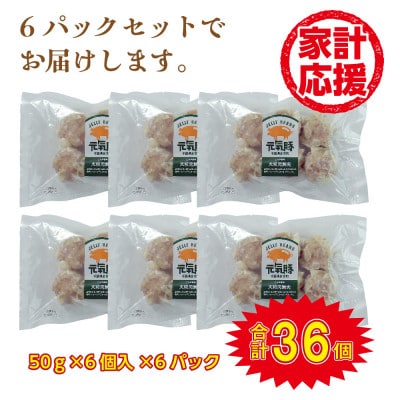 千葉県産三元豚 大粒肉焼売 36個(1.8kg)元気豚100%使用 冷凍