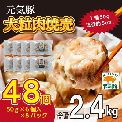 千葉県産三元豚 大粒肉焼売 48個(2.4kg)元気豚100%使用 冷凍