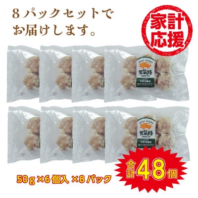 千葉県産三元豚 大粒肉焼売 48個(2.4kg)元気豚100%使用 冷凍