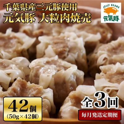 【毎月定期便】元気豚 大粒肉焼売セット 42個セット(計2.1kg)全3回