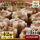 【毎月定期便】元気豚 大粒肉焼売セット 42個セット(計2.1kg)全6回