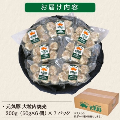 【毎月定期便】元気豚 大粒肉焼売セット 42個セット(計2.1kg)全9回