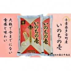 【令和5年産】多古町産いのちの壱 精米10kg(5kg×2袋)