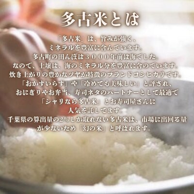 【令和7年産】多古米コシヒカリ 精米 10kg (5kg×2袋)(数量限定)