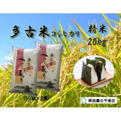 【令和6年産】多古米コシヒカリ 精米20kg(10kg×2袋)