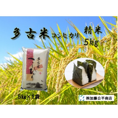 【令和6年産】多古米コシヒカリ 精米5kg