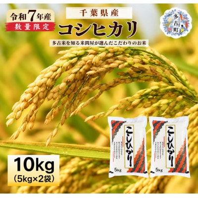 【令和7年産】千葉県産コシヒカリ　精米 10kg(5kg×2袋)　※配送不可地域:沖縄県・離島