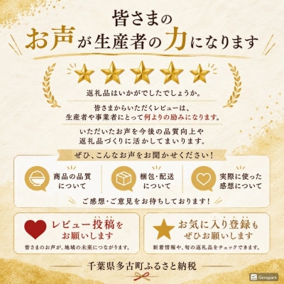 【令和7年産】千葉県産コシヒカリ　精米 10kg(5kg×2袋)　※配送不可地域:沖縄県・離島