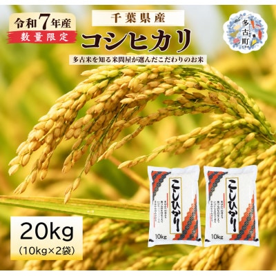 【令和7年産】千葉県産コシヒカリ　精米20kg(10kg×2袋)　※配送不可地域:沖縄県・離島