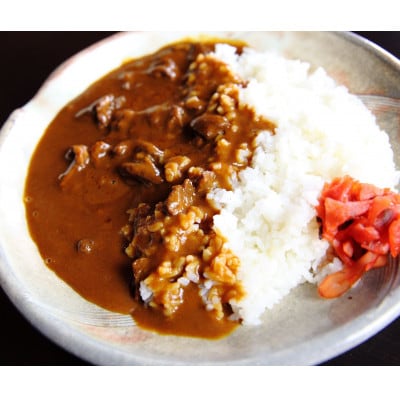 せんば牛カレー　200g×5食セット