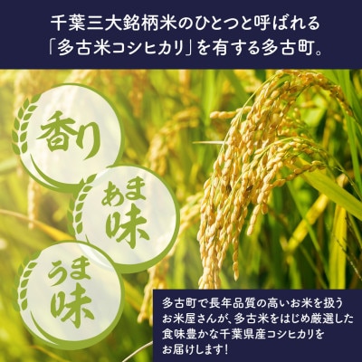 【先行予約・9月より順次配送】令和8年産 千葉県産 こしひかり 精米 20kg
