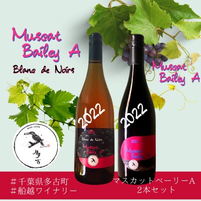 多古ワイン2022・マスカットベーリーA 2種【Blanc de Noirs・ブランド