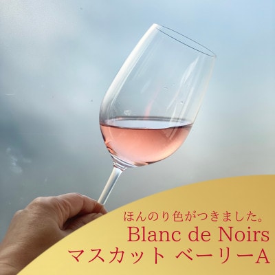 多古ワイン2022・マスカットベーリーA 2種【Blanc de Noirs・ブランドノワール/赤】