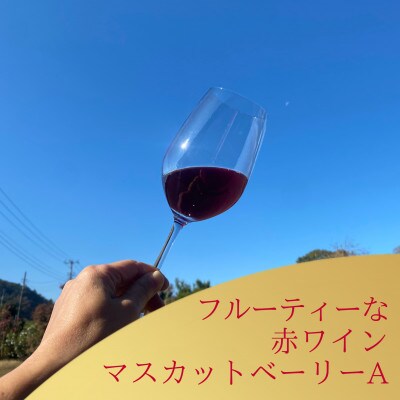 多古ワイン2022・マスカットベーリーA 2種【Blanc de Noirs・ブランドノワール/赤】
