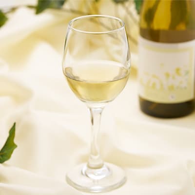 多古ワイン 2022 Blanc(ブラン)シャルドネ・ソーヴィニョンブラン【白ワイン】750ml