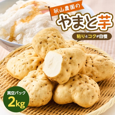 やまと芋の町 多古から「秋山農園のやまと芋」2kg