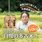 山口さんちの【令和7年産】多古米コシヒカリ(精米)10kg