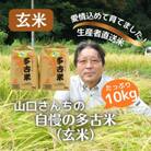山口さんちの【令和7年産】多古米コシヒカリ(玄米)10kg
