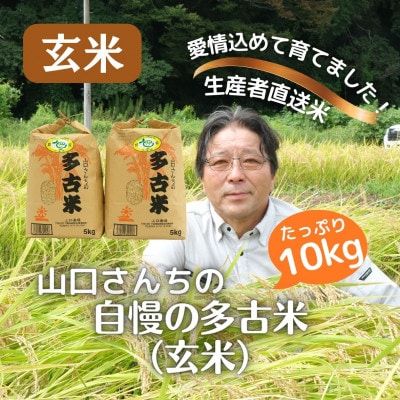 山口さんちの【令和6年産】多古米コシヒカリ(玄米)10kg