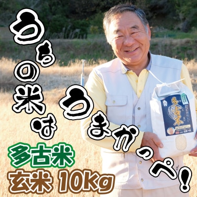 多古米グランプリ常連　佐藤さんのコシヒカリ【玄米】10kg