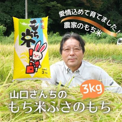 多古米農家 山口さんちのもち米3kg 千葉県奨励品種ふさのもち