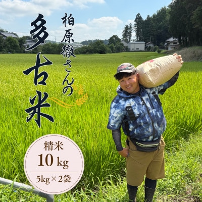 多古米セレクション　柏原徹さんの多古米コシヒカリ　精米10kg　令和7年産