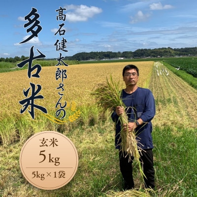 多古米セレクション　高石健太郎さんの多古米コシヒカリ　玄米5kg　令和7年産