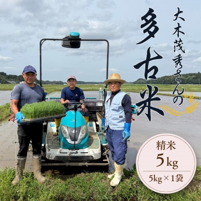 多古米セレクション　大木茂秀さんの多古米コシヒカリ　精米5kg　令和7年産