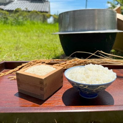 多古米セレクション　大木茂秀さんの多古米コシヒカリ　精米5kg　令和7年産