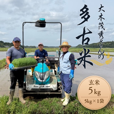 多古米セレクション　大木茂秀さんの多古米コシヒカリ　玄米5kg　令和7年産