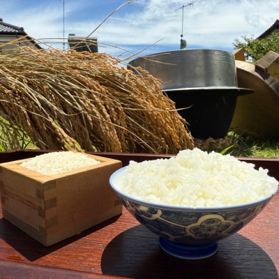 多古米セレクション　大木茂秀さんの多古米コシヒカリ　玄米5kg　令和7年産