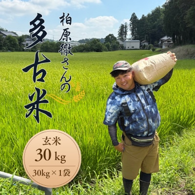 多古米セレクション　柏原徹さんの多古米コシヒカリ　玄米30kg　令和7年産