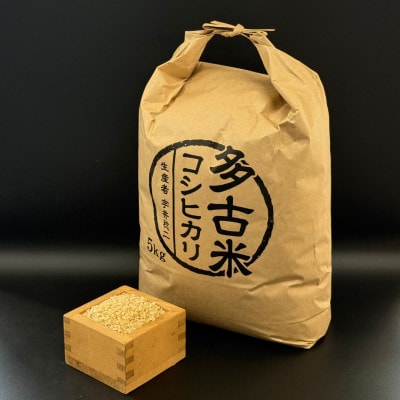 多古米セレクション 宇井稔二さんの多古米コシヒカリ 精米 5kg 令和7年産