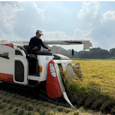 多古米セレクション 宇井稔二さんの多古米コシヒカリ 精米 5kg 令和7年産