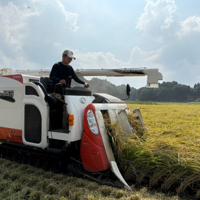 多古米セレクション 宇井稔二さんの多古米コシヒカリ 精米 10kg 令和7年産