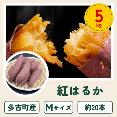 ���Ò��Y���܂����u�g�͂邩�v5kg