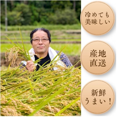 山口さんちの多古町産にじのきらめき　玄米5kg【令和8年産】