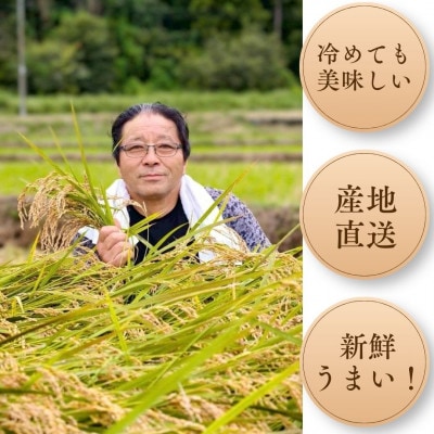 山口さんちの多古町産にじのきらめき　玄米10kg(5kg×2)【令和8年産】