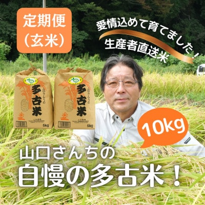 【毎月定期便】山口さんちの多古米コシヒカリ(玄米)10kg全6回