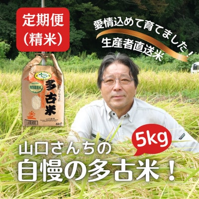 【毎月定期便】山口さんちの多古米コシヒカリ(精米)5kg全6回