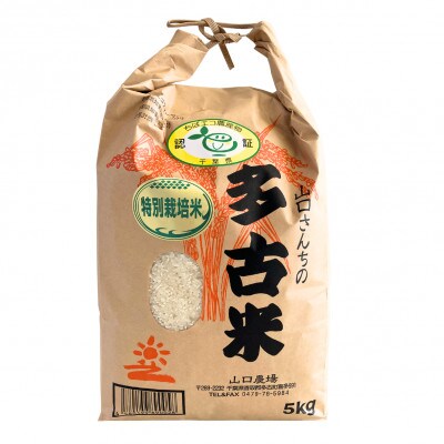 【毎月定期便】山口さんちの多古米コシヒカリ(玄米)5kg全6回
